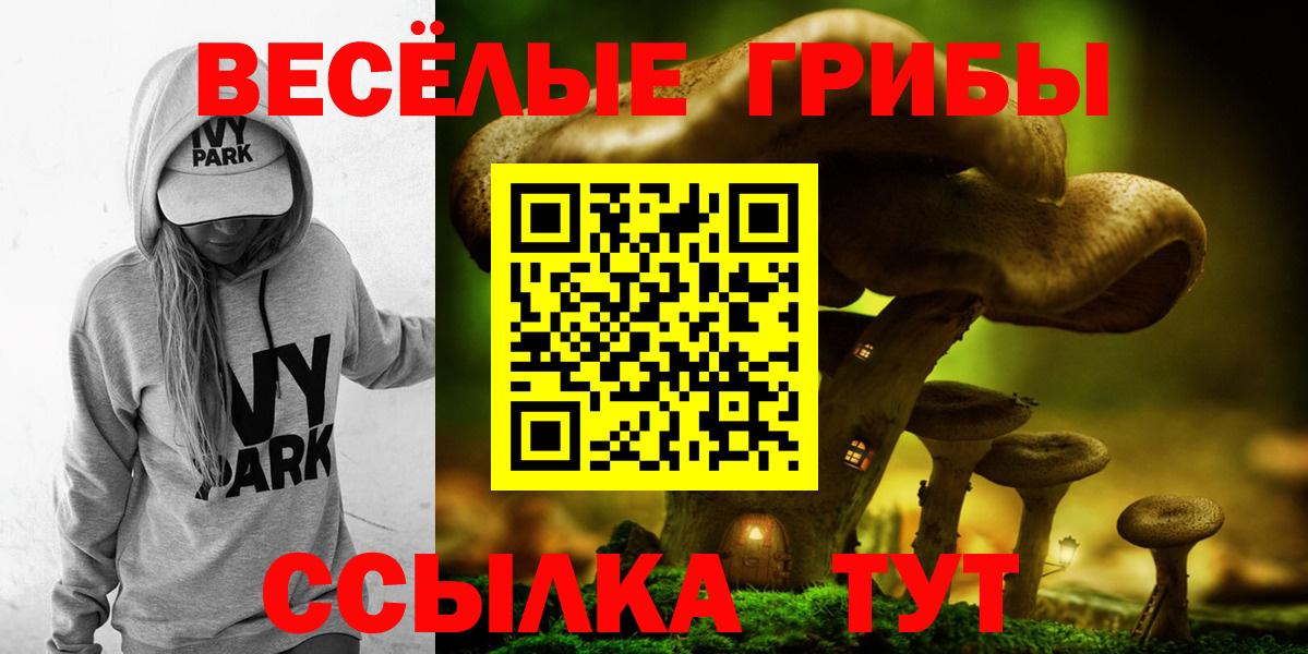 Псилоцибиновые грибы MAGIC MUSHROOMS  Вход с VPN  Псилоцибиновые грибы MAGIC MUSHROOMS  цена наркотик  Новосибирск 
