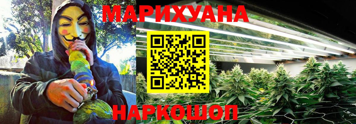 Бошки марихуана сатива Новосибирск